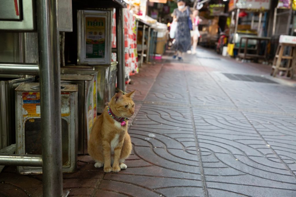 bangkok china town thailand rondreis tieners meivakantie