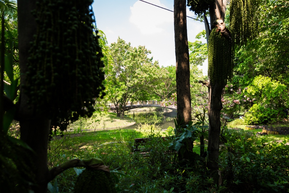 Bangkok butterfly garden thailand rondreis