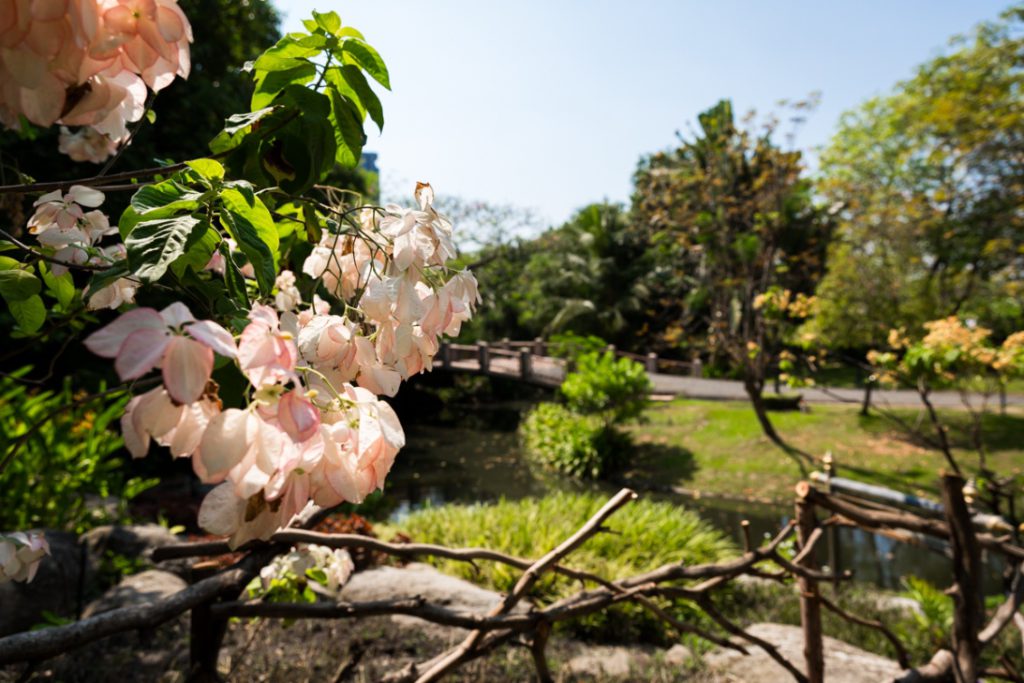 Bangkok tuinen bij Butterfly Garden gardesn tuin thailand met tieners rondreis meivakantie